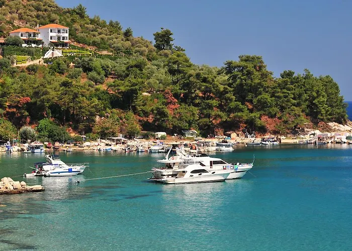 Island View فندق مبيت وإفطار