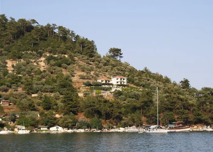 Island View فندق مبيت وإفطار
