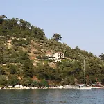 Island View Bed & Breakfast