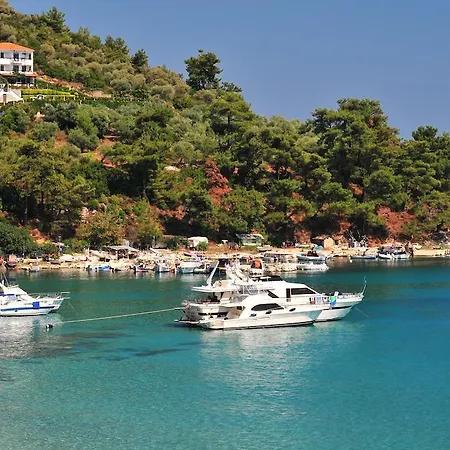 Island View فندق مبيت وإفطار