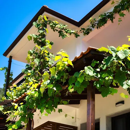 Island View Chrysi Ammoudia