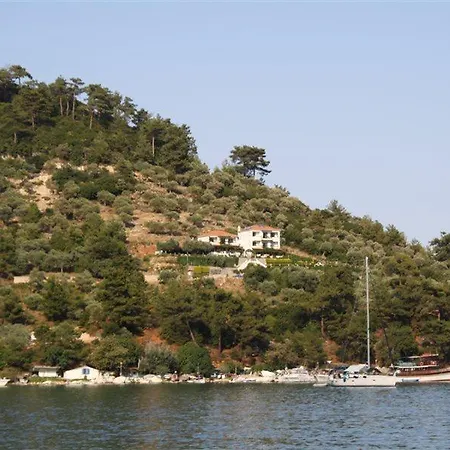 Island View فندق مبيت وإفطار