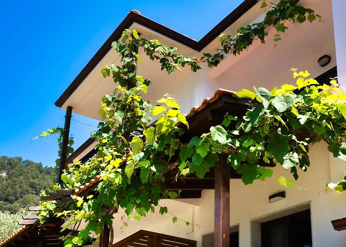 Island View Chrysi Ammoudia